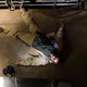 Image for article titled Breaking Bad’s final episode is a fitting end to the series